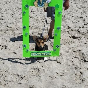 Meet your Posher, Thu-yen